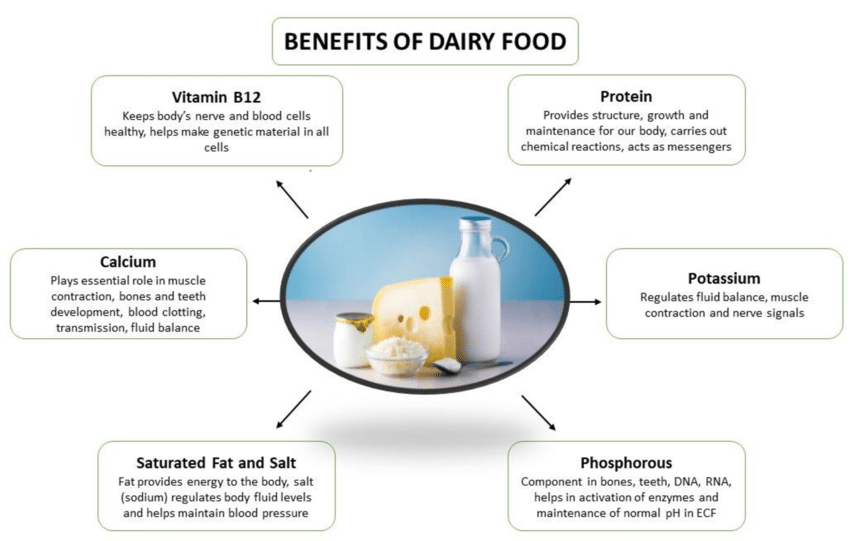 Dairy Products